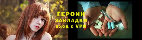 прущие грибы Новодвинск