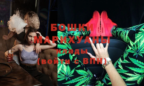прущие грибы Новодвинск