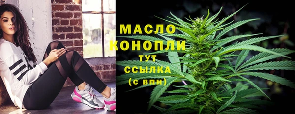 прущие грибы Новодвинск