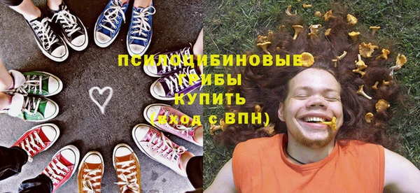 мдпв Новозыбков