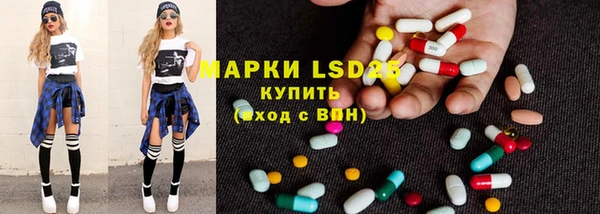 прущие грибы Новодвинск