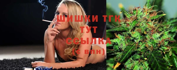 мдпв Няндома