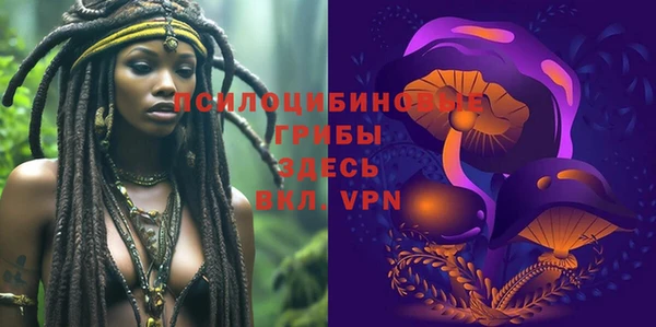мдпв Новозыбков