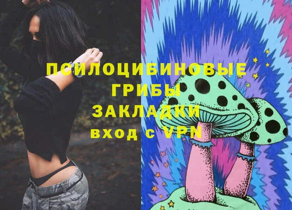 мдпв Няндома
