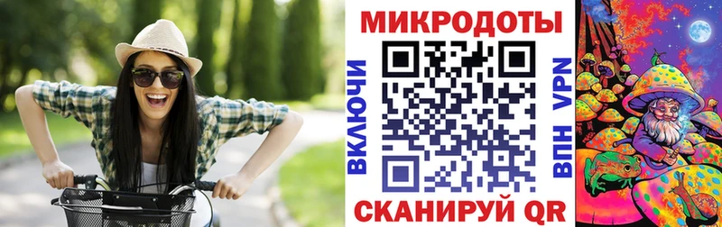 Галлюциногенные грибы Psilocybe  Тетюши 